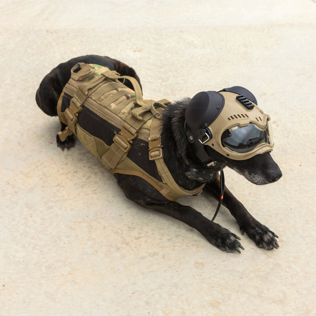 K9 Protective Gear